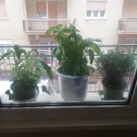 *ostia* Beach House Apartment