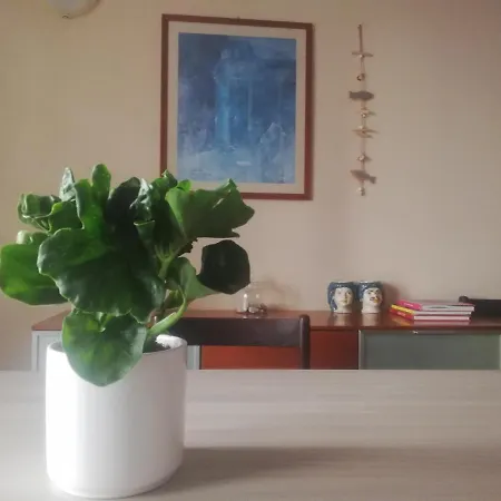 Apartment *ostia* Beach House *